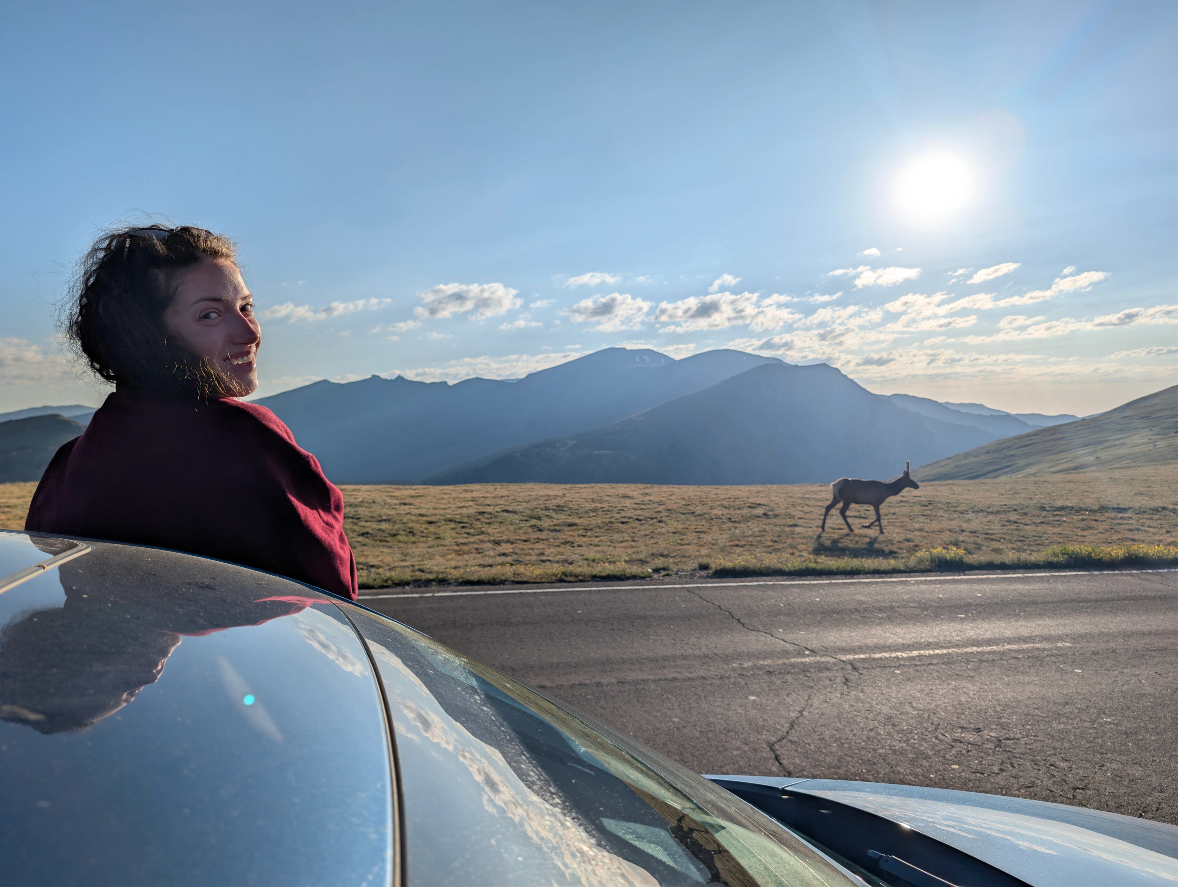 Dóra looking back from the car as a deer crosses the road, mountains behind her
